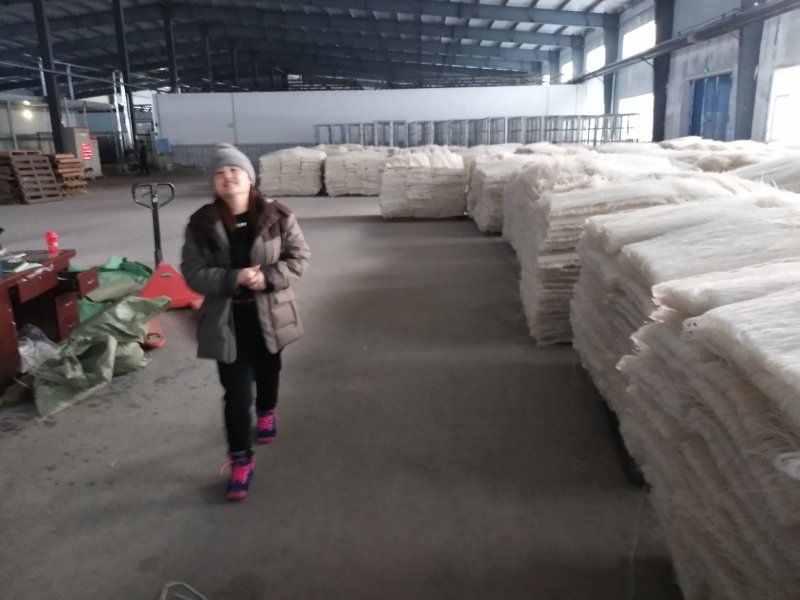 刘连科粉条