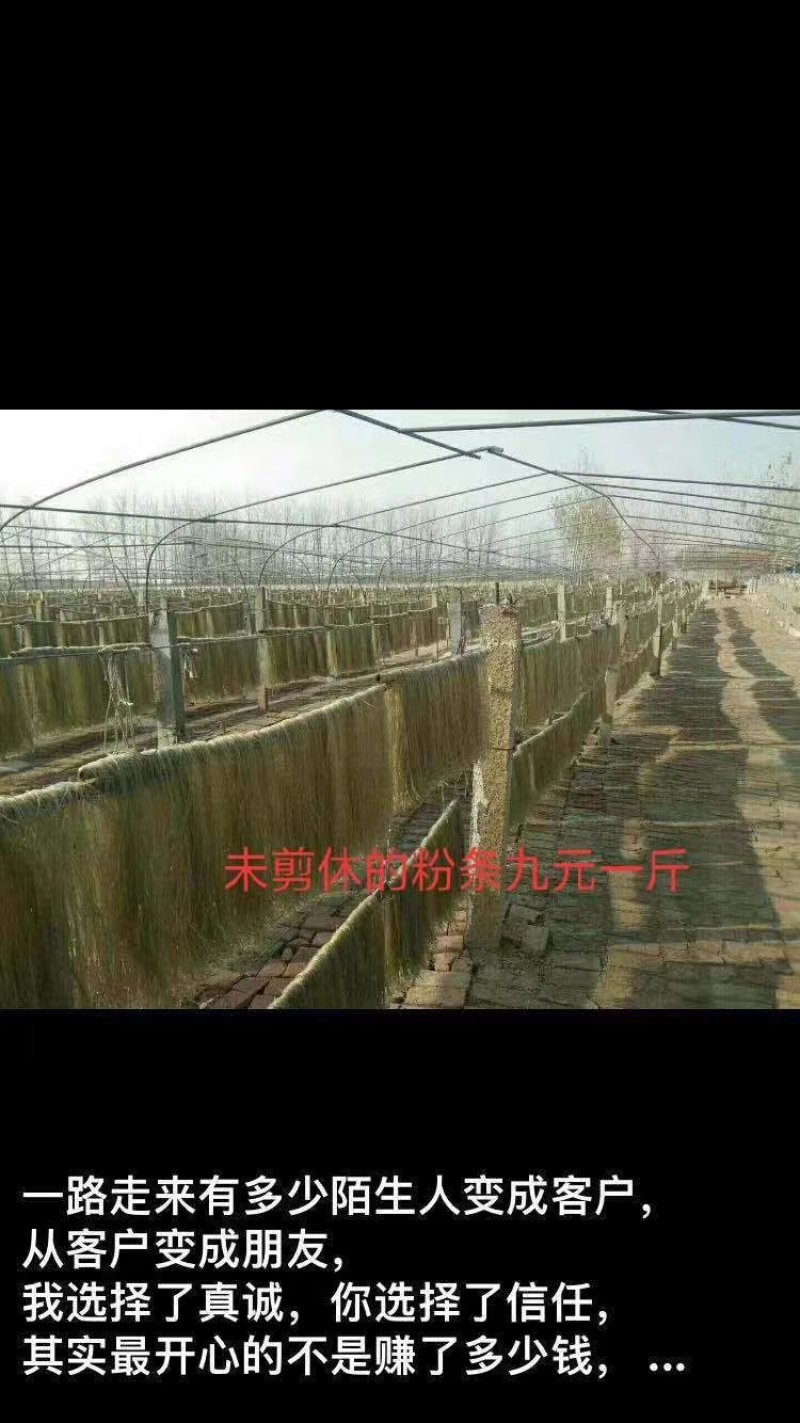 自产自销纯粉皮粉条