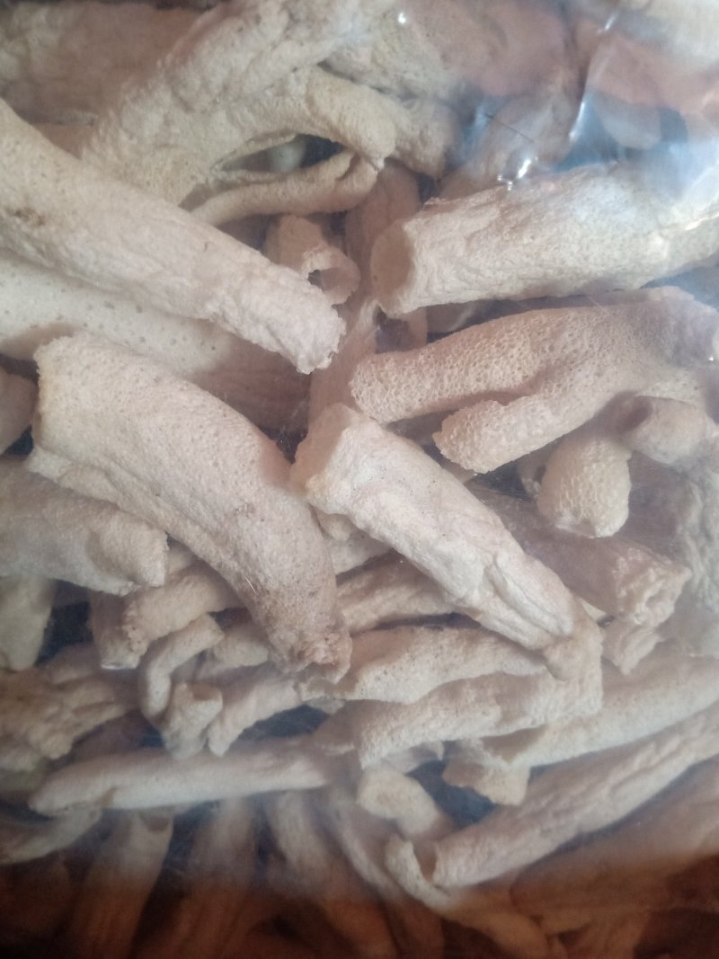 竹荪菌