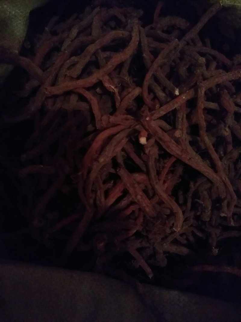 丹参，杂质少，货干，含量高，颜色红