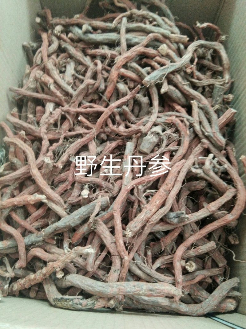 丹参，杂质少，货干，含量高，颜色红