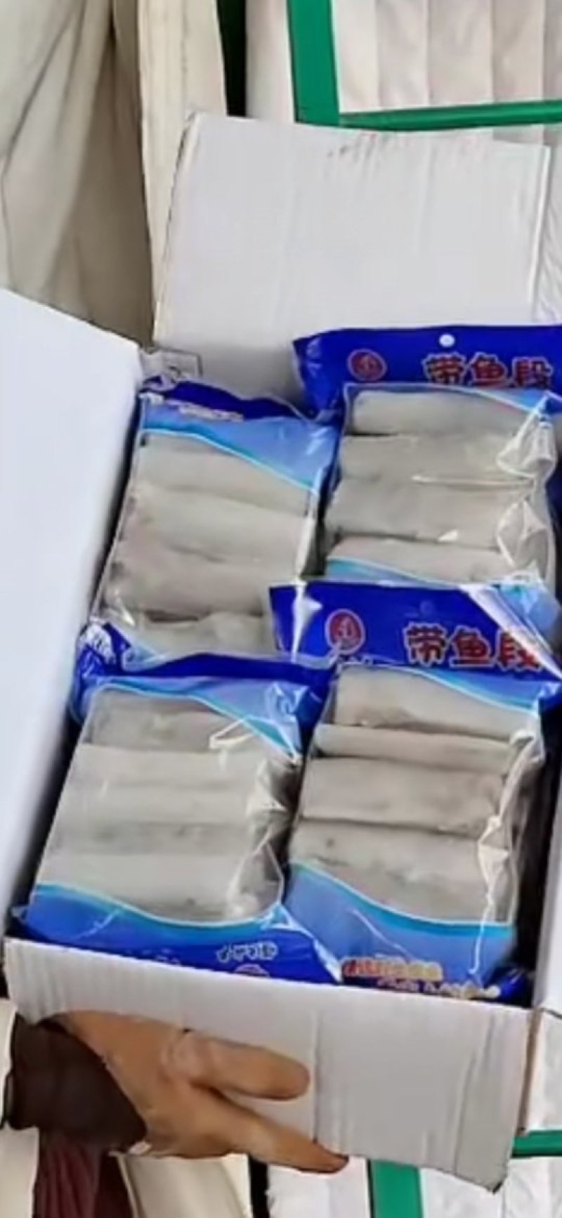 各种冻鱼