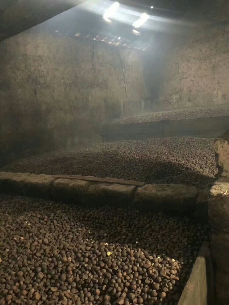 茶果，每年都有~。。。。。。