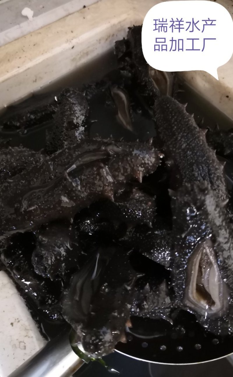 大连盐渍海参，海参，大连海参，辽叁，盐渍海参