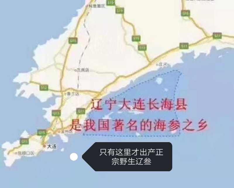 大连盐渍海参，海参，大连海参，辽叁，盐渍海参