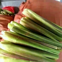 磐安高山茭白，质量优越，价格美丽