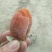 富平柿饼