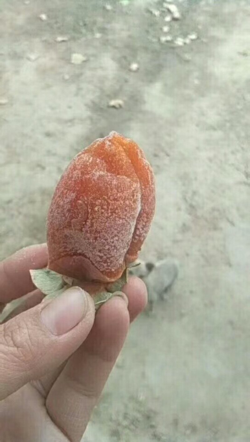 富平柿饼