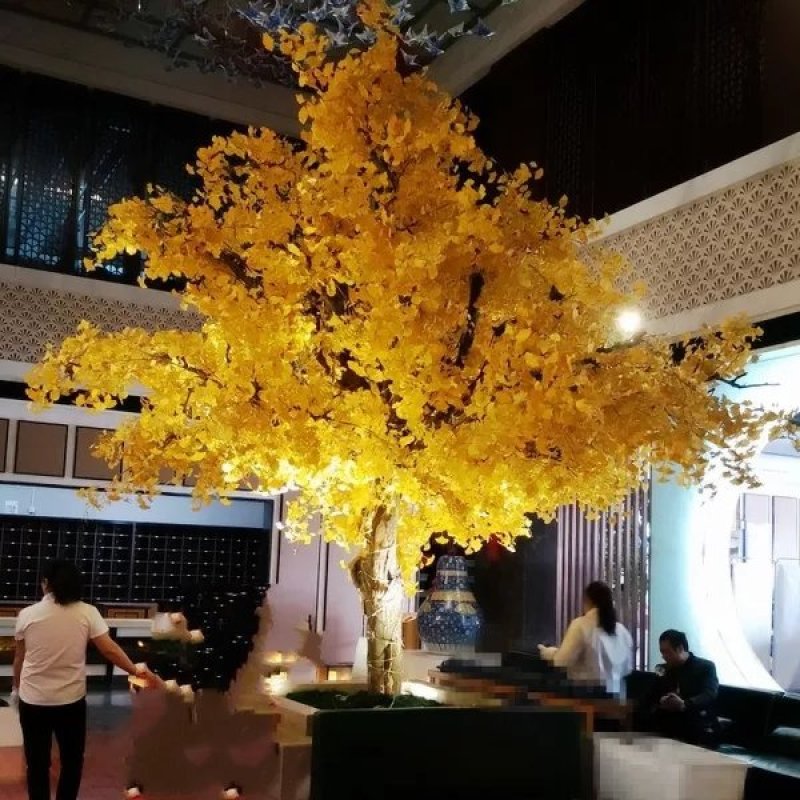 樱花树