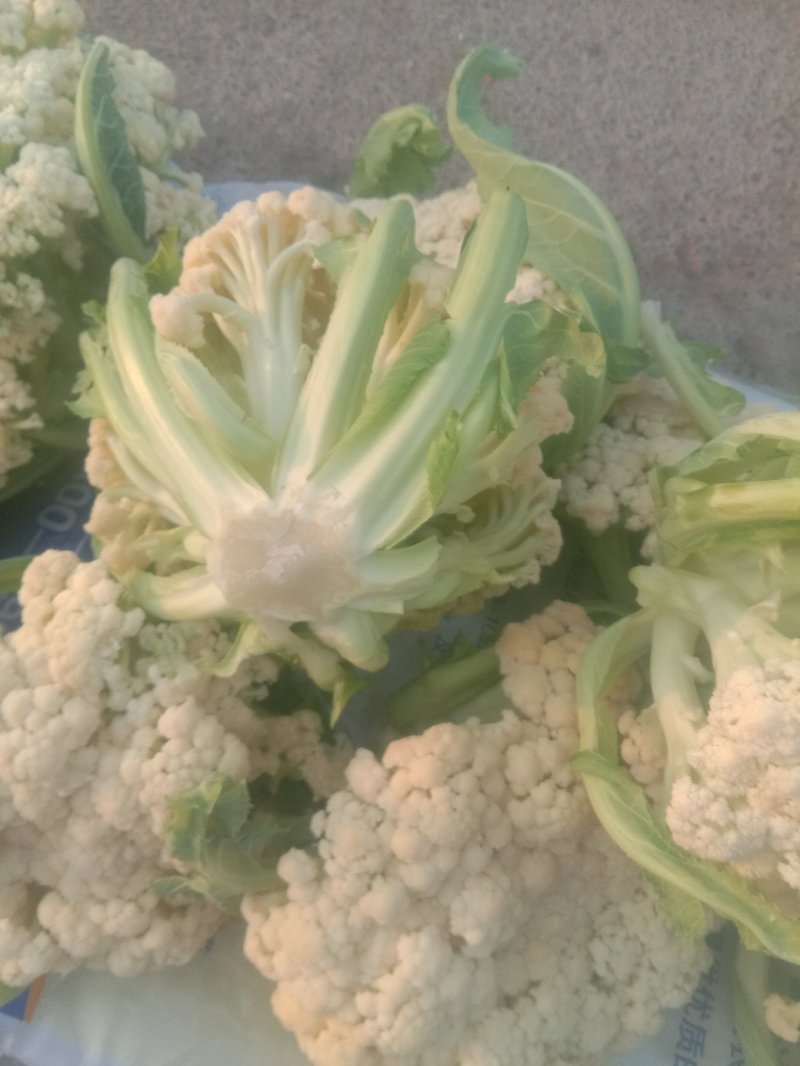 千亩地有机菜花，质量很好。