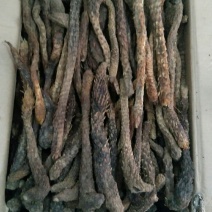 新疆肉苁蓉中药材肉苁蓉规格齐全，质量保证