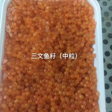 三文鱼籽