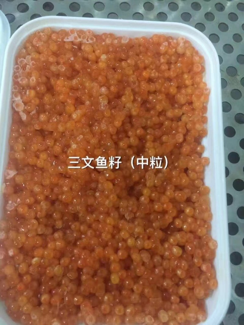 三文鱼籽