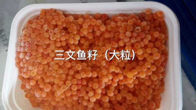 三文鱼籽