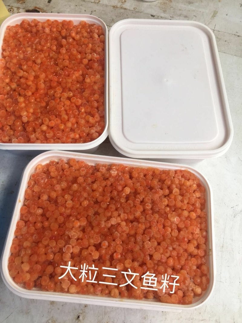 三文鱼籽