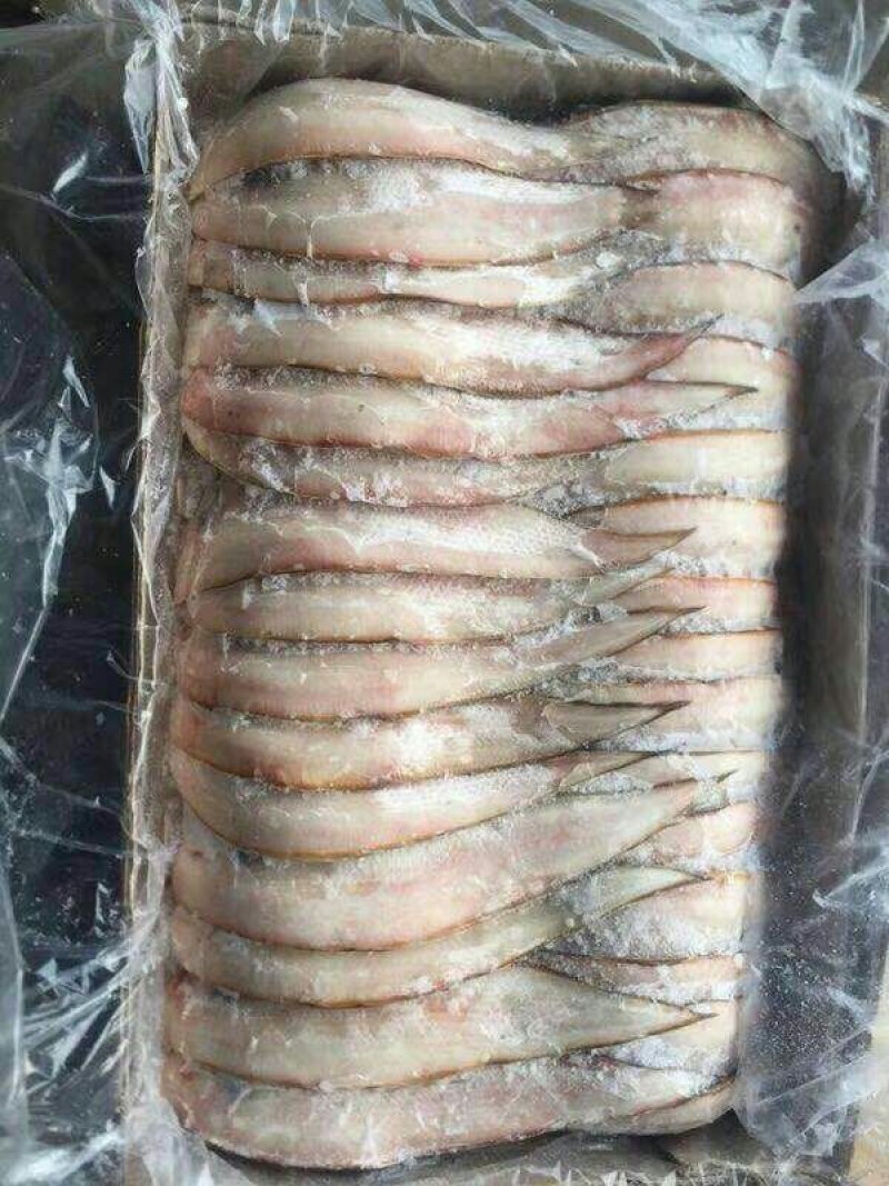 舌头鱼