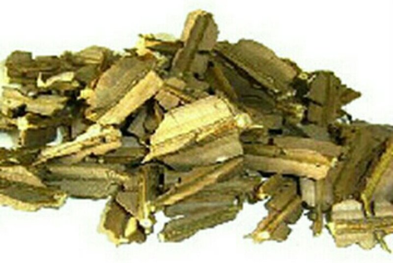 鬼箭羽