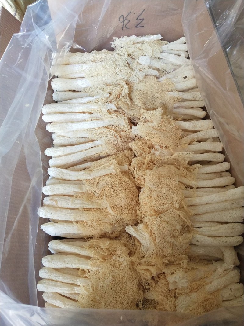 古田精选竹荪量大运费商议请按购买数量拍否则不发货谢谢