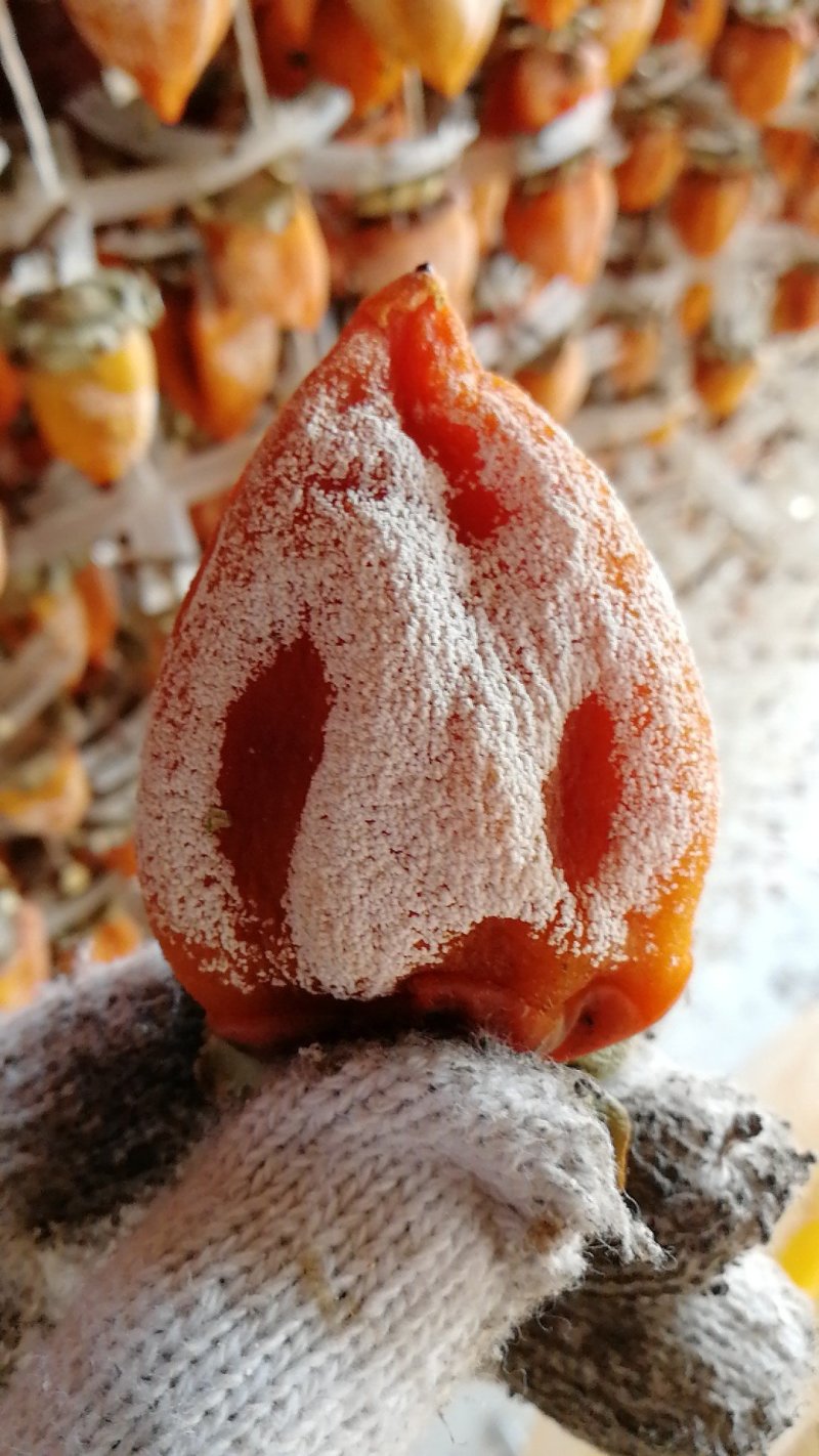柿饼
