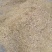 色彩好，味纯无任何添加剂