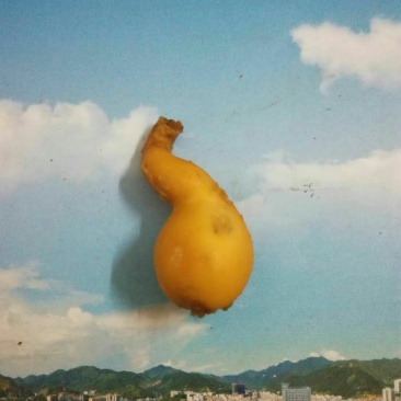 鸭宝