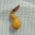 鸭宝