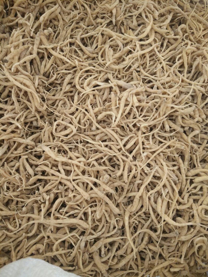 太子参干货，籽，秧苗