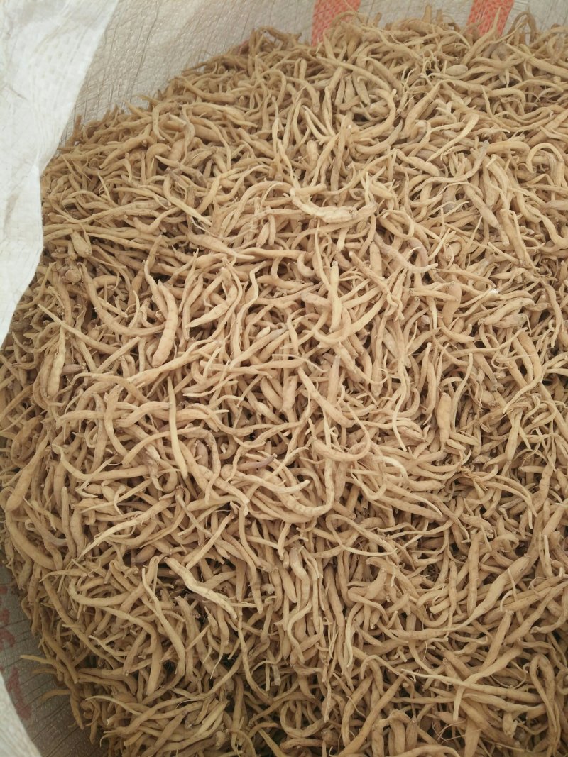 太子参干货，籽，秧苗