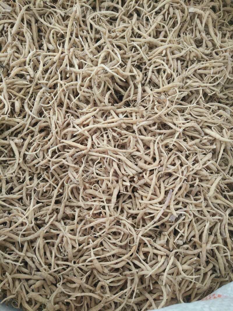 太子参干货，籽，秧苗