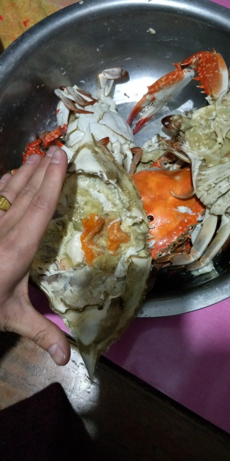 梭子蟹
