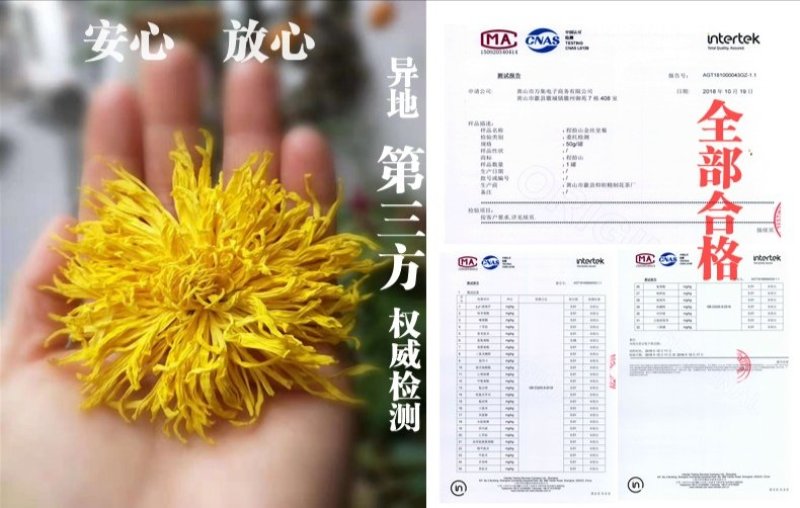 臻选高山金丝皇菊