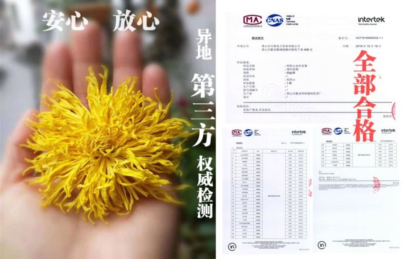 金丝皇菊50克罐装