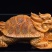 【招财龙龟🐢】崖柏陈化料红油料