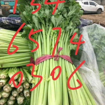 西芹
