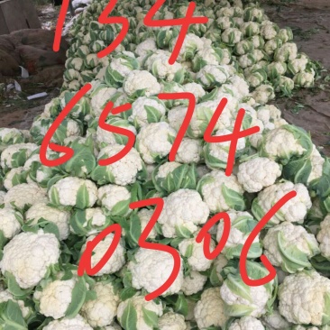 菜花