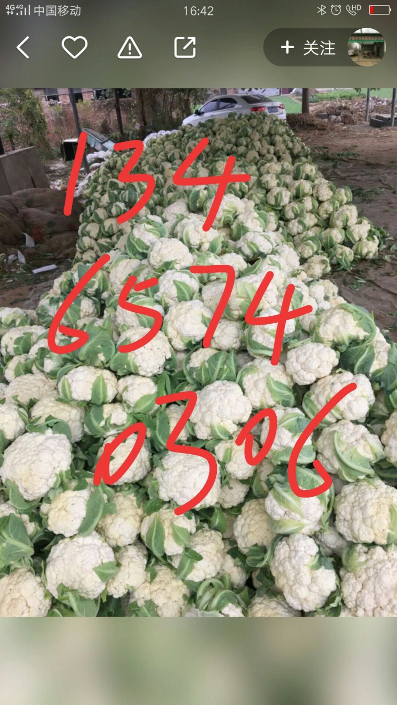 菜花