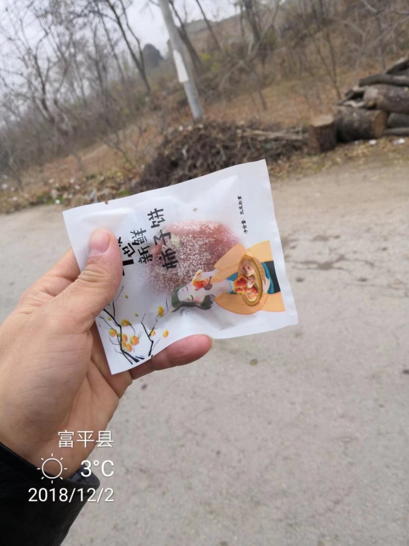 自己家做的柿饼，广招代理