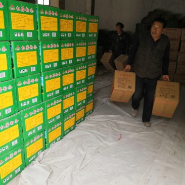 红薯粉条大批量厂家直销
