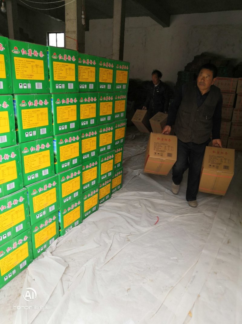 红薯粉条大批量厂家直销
