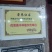 李子苗，蜂糖李，5月脆，脆红李，基地直供，包邮包技术