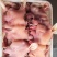 乳牛头