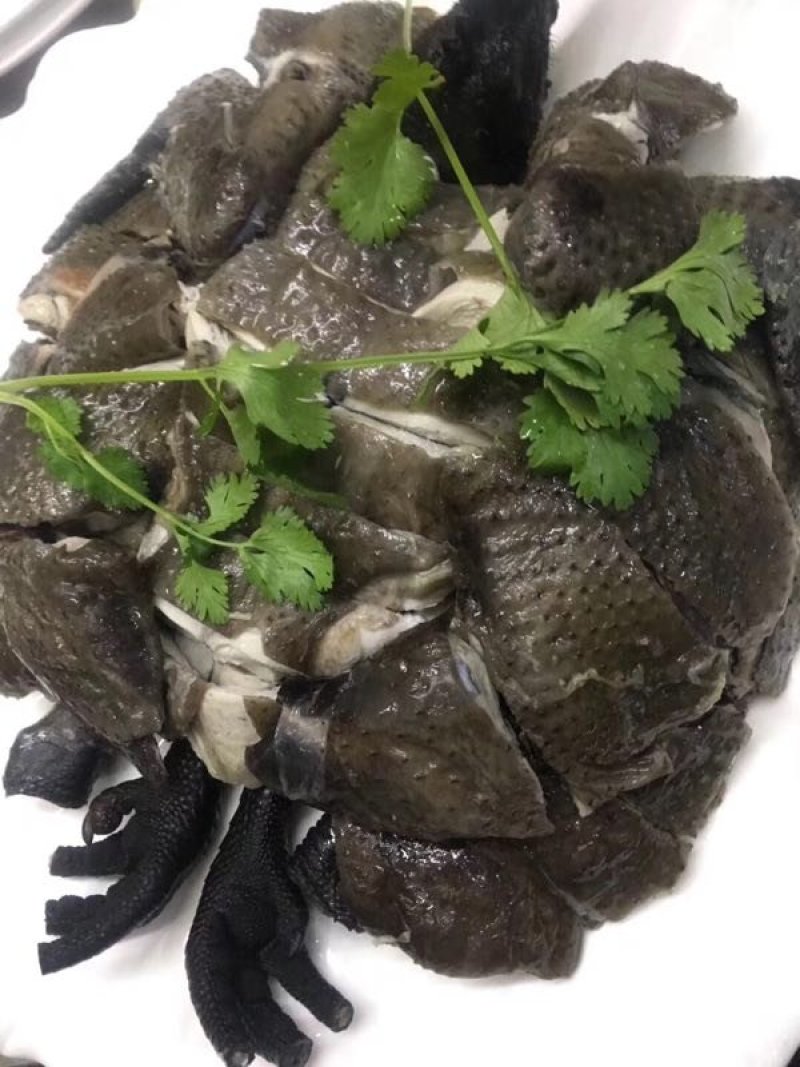 广西河池东兰乌骨鸡