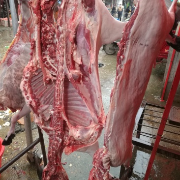 羊肉