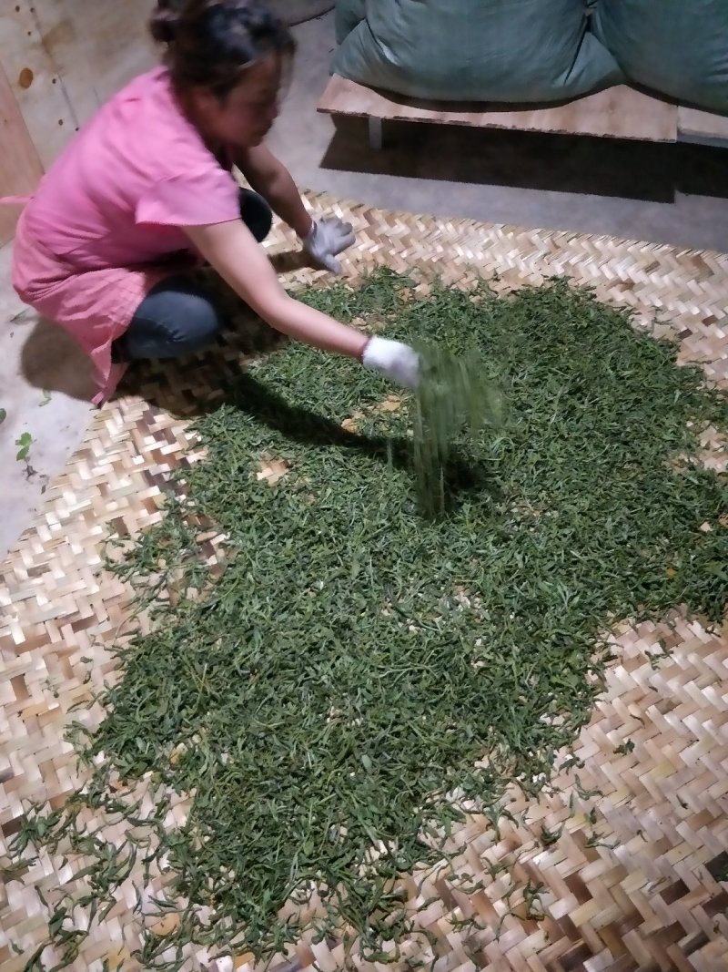普洱茶毛料，18年春茶混采，不满意，支持无理由退货。诚信