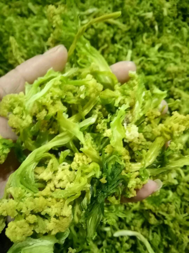 贵族精品花菜干