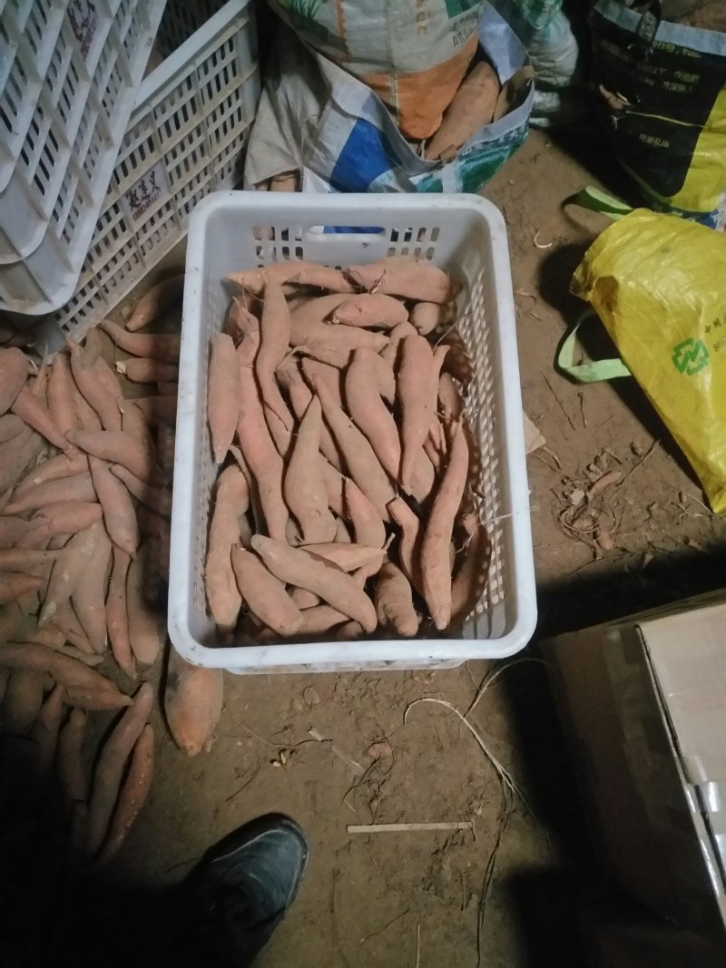 糖稀蜜薯，