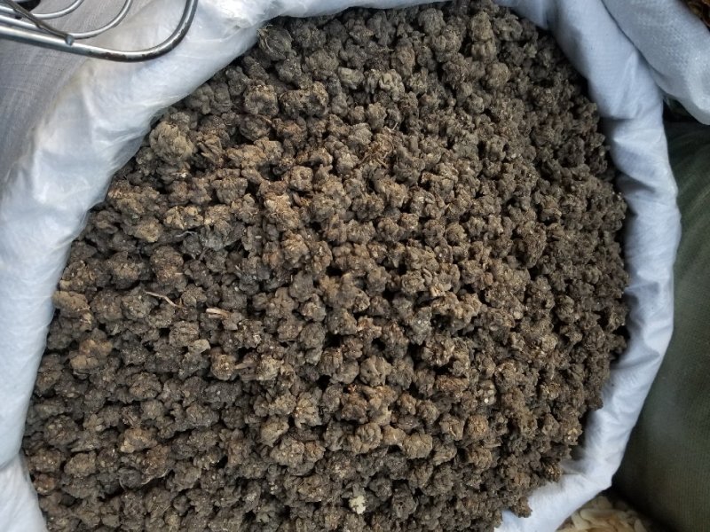 猫爪草无硫靓货干度好
