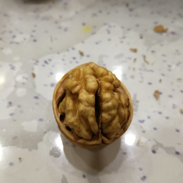 阿克苏185纸皮核桃，5斤全国包邮