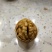 阿克苏185纸皮核桃，5斤全国包邮