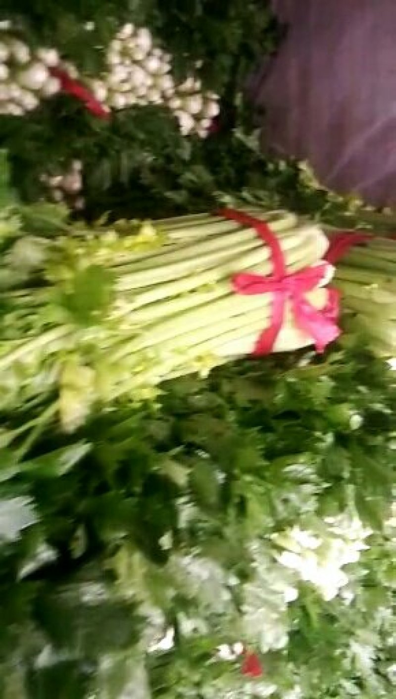 皇妃芹菜50cm以上，产地代收，代发全国各地。